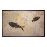 Horizontal Framed Fossil 2 Fish 0728