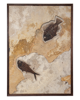 Vertical Framed Fossil 2 Fish Iron Oxide 7800