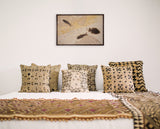 Horizontal Framed Fossil 3 Fish 4752